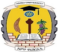 Ambo University